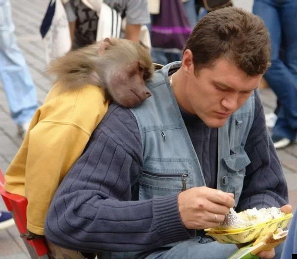 fotoprikol-110909-88