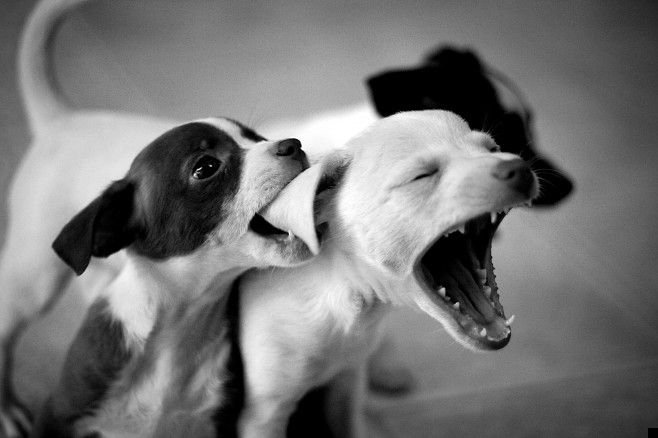 fotoprikol-110909-95