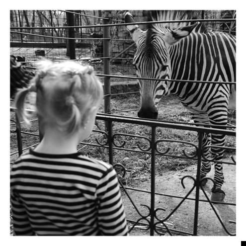 fotoprikol-110909-97