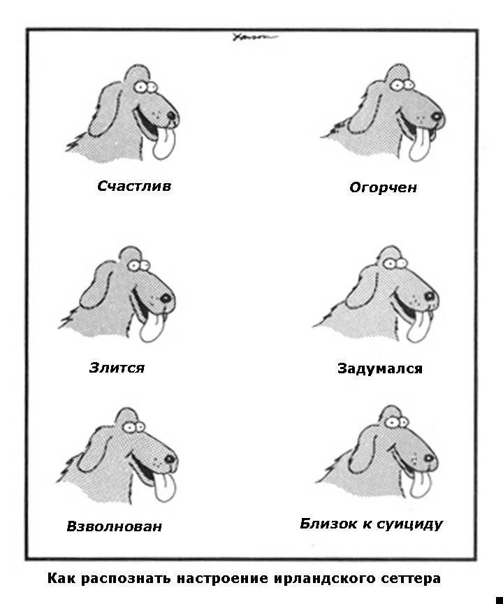 fotoprikol-110909-98