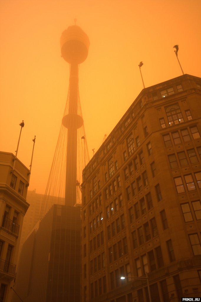 sydney-sand-storm-04