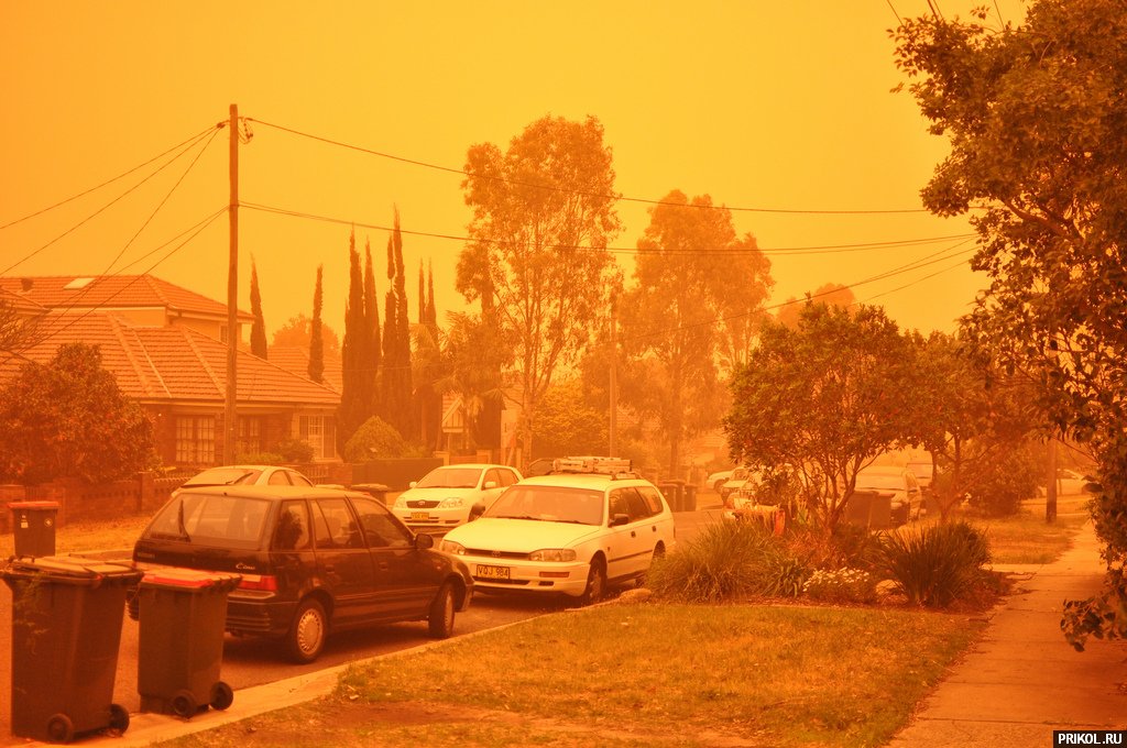 sydney-sand-storm-08