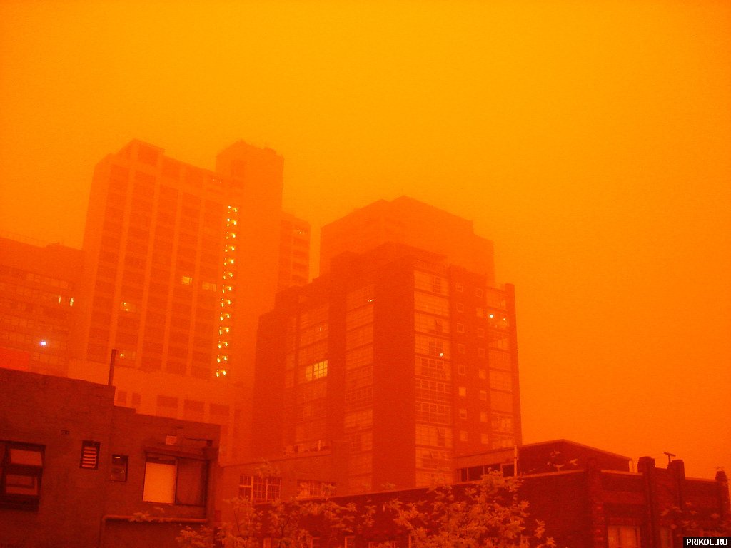 sydney-sand-storm-10