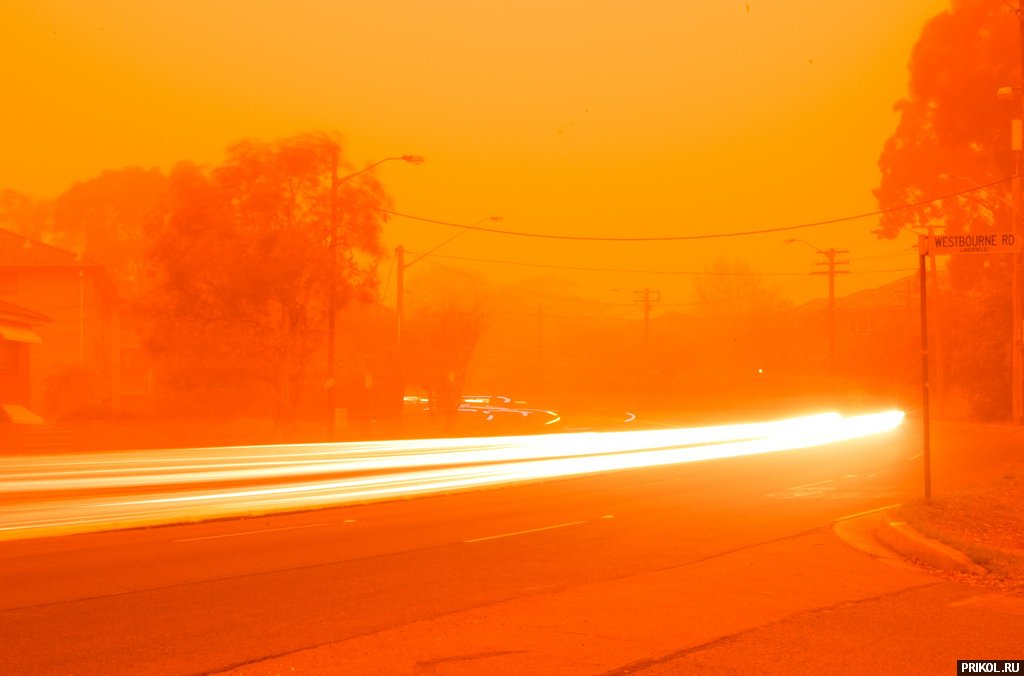 sydney-sand-storm-14