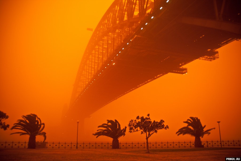 sydney-sand-storm-15