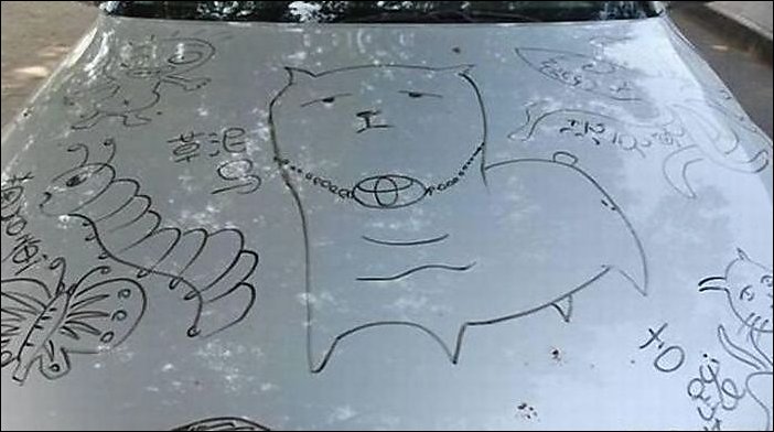 Подборка автомобильной мести