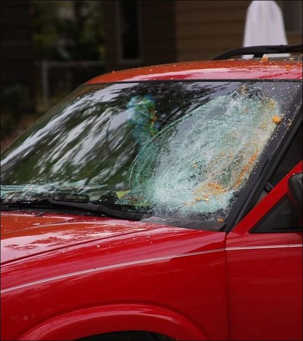 Подборка автомобильной мести