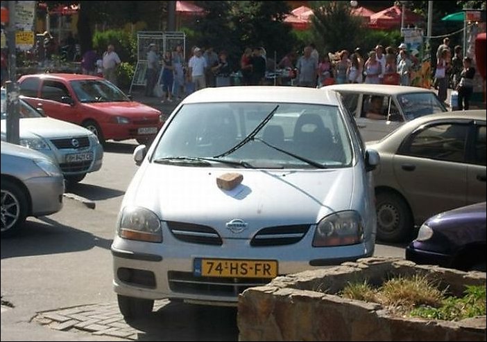 Подборка автомобильной мести