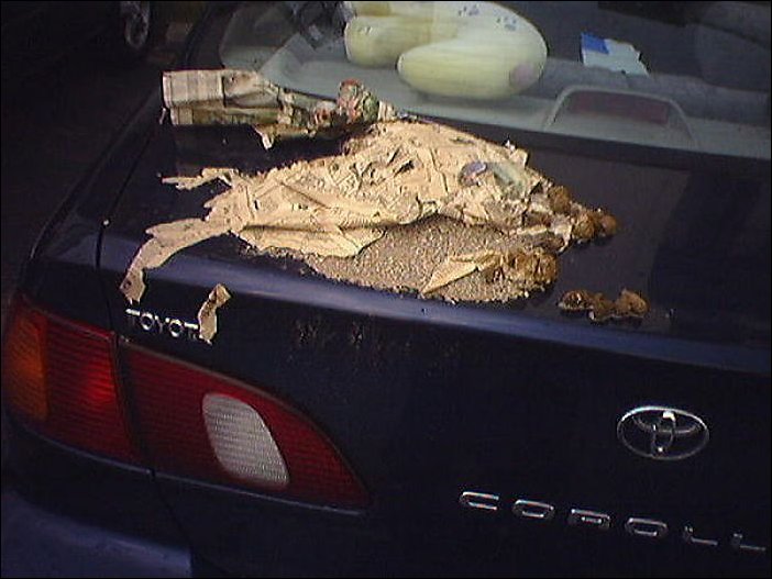 Подборка автомобильной мести