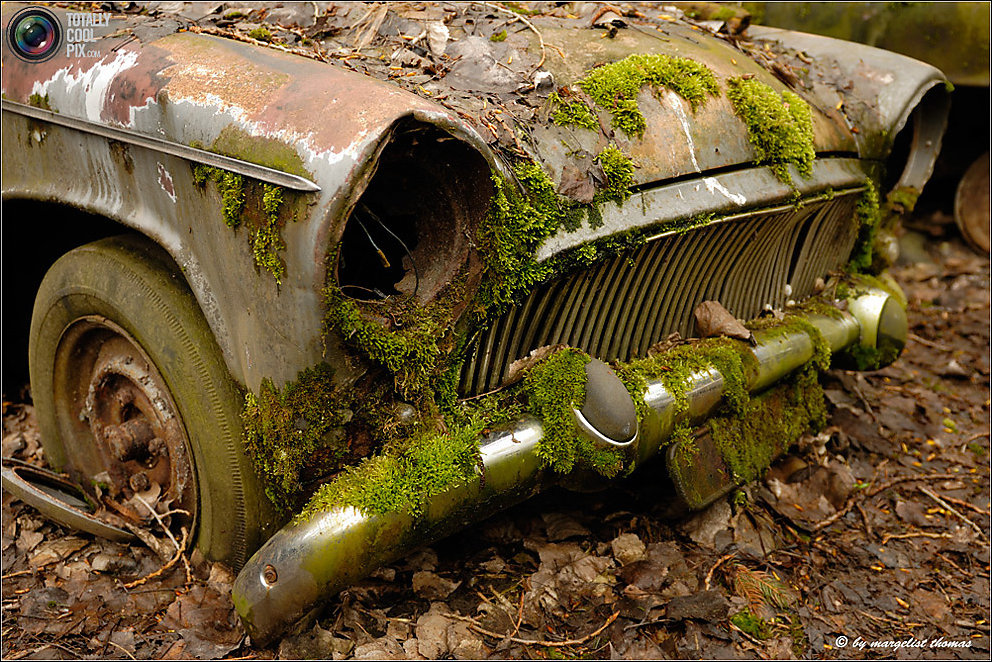 Кладбище ретро-автомобилей