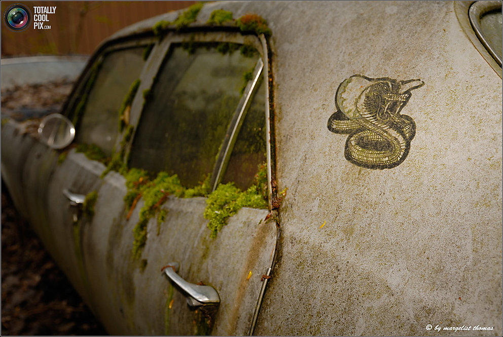 Кладбище ретро-автомобилей