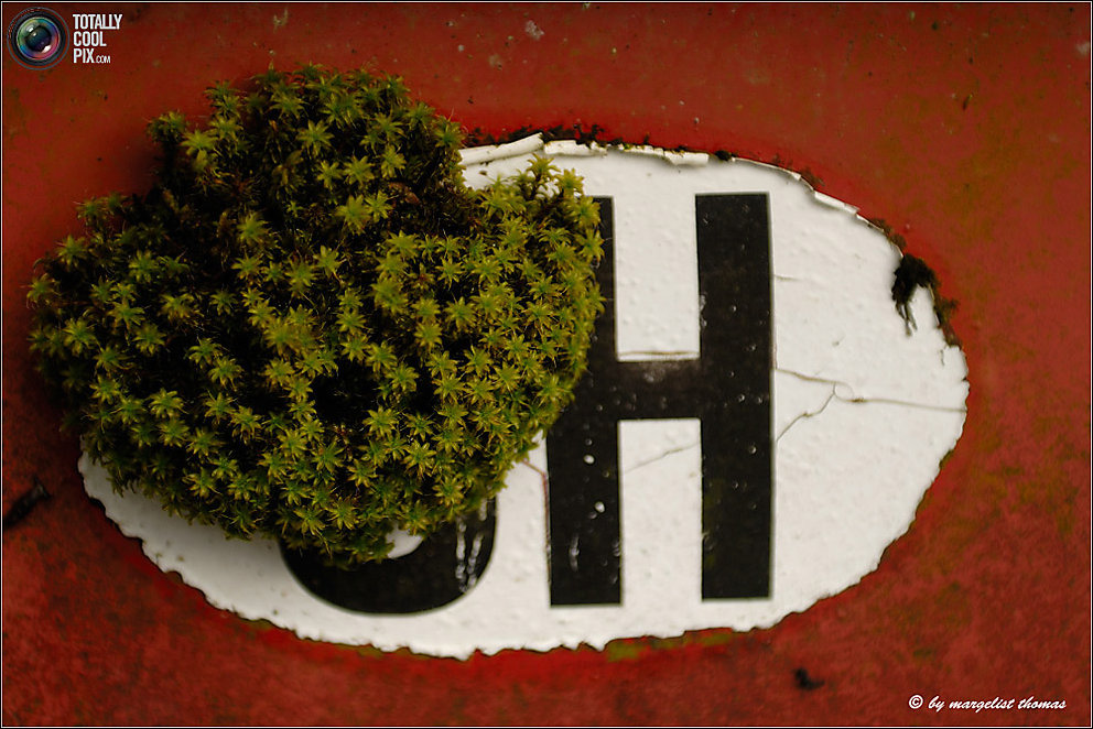 Кладбище ретро-автомобилей