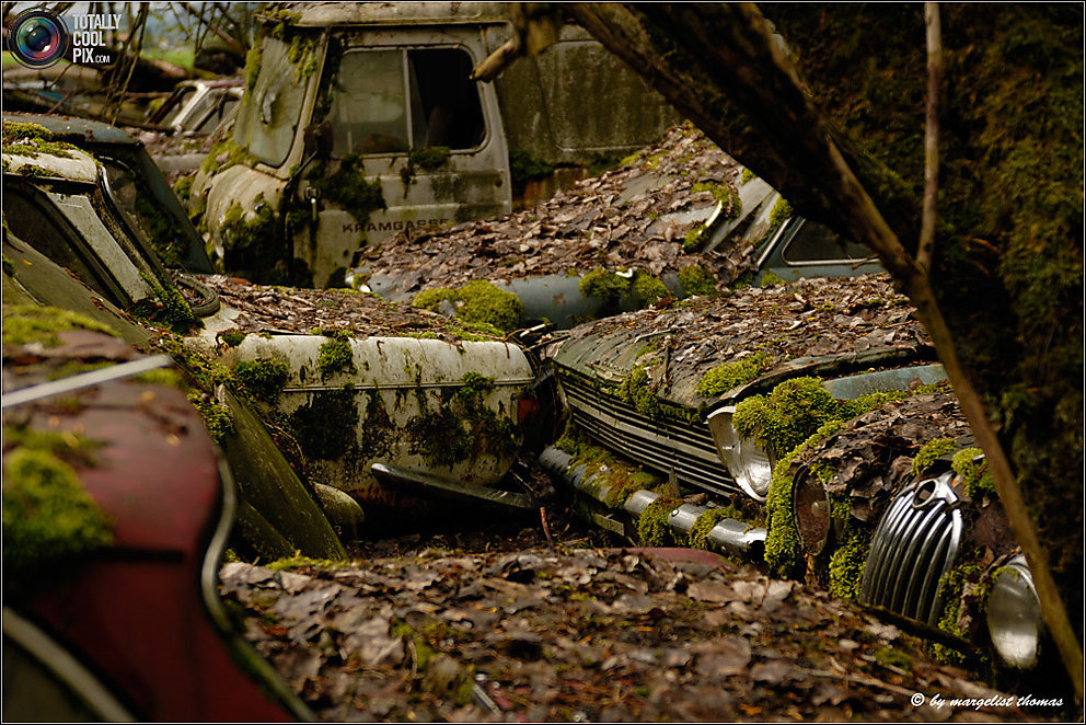 Кладбище ретро-автомобилей