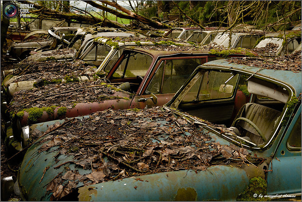 Кладбище ретро-автомобилей