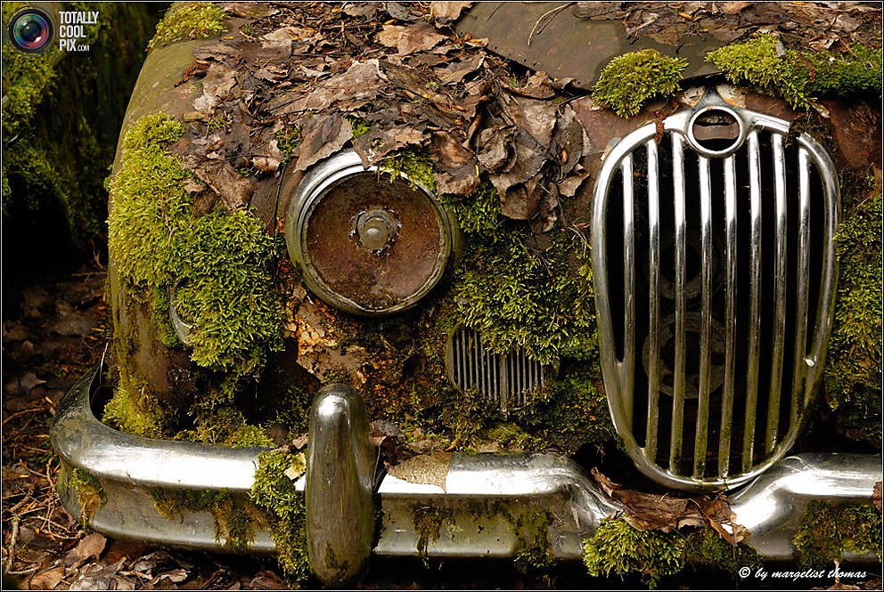 Кладбище ретро-автомобилей