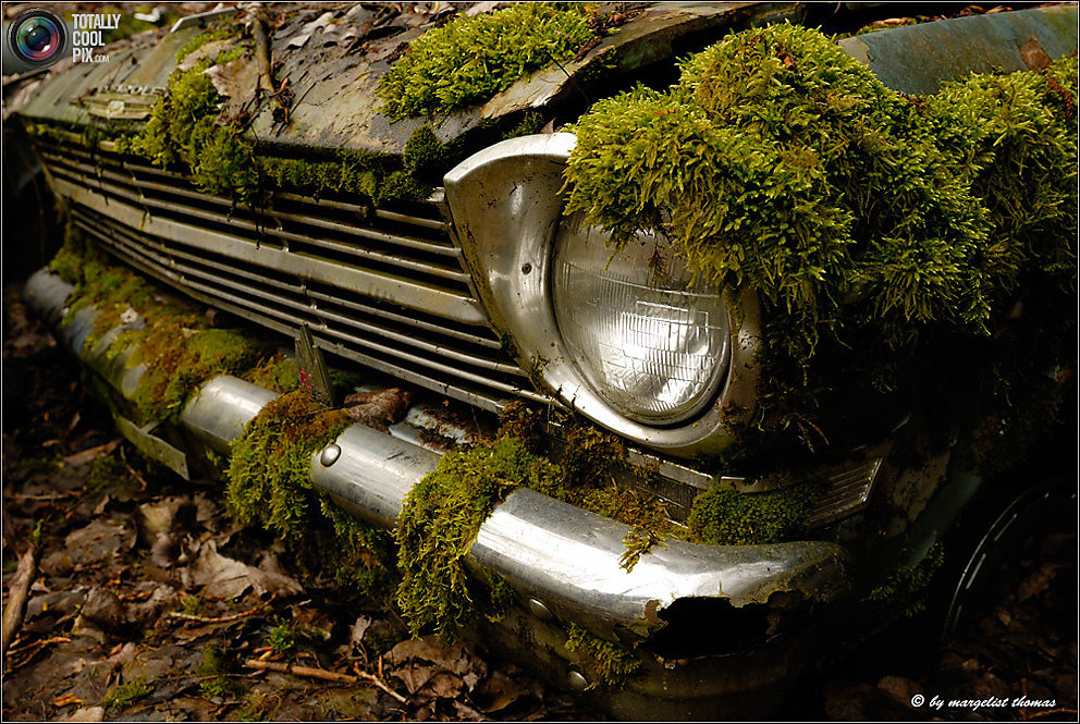 Кладбище ретро-автомобилей