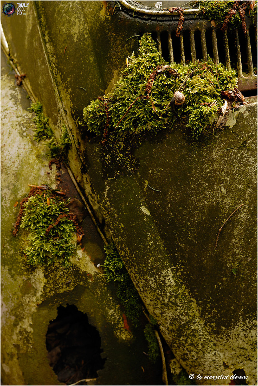 Кладбище ретро-автомобилей