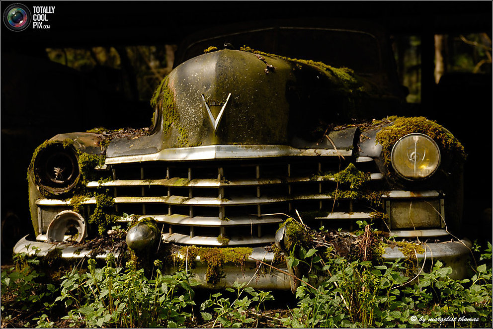 Кладбище ретро-автомобилей