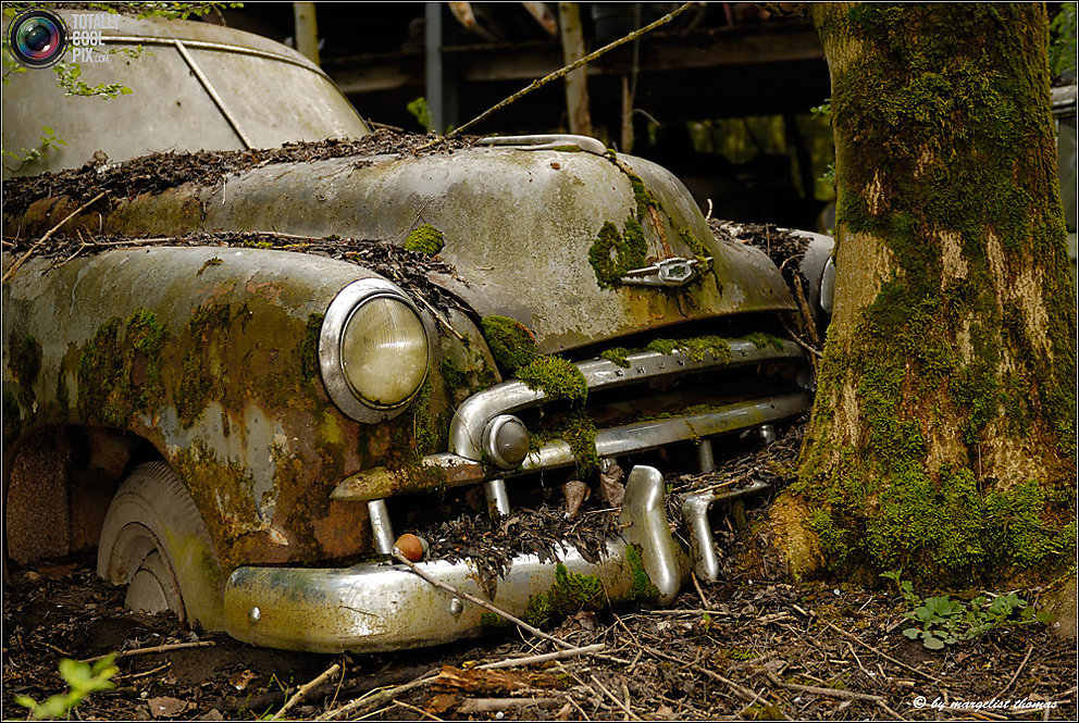 Кладбище ретро-автомобилей