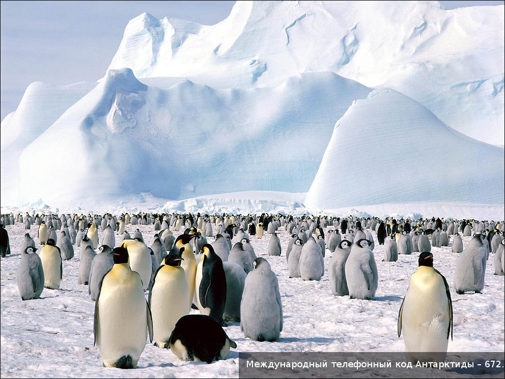 Интересные факты о разных странах