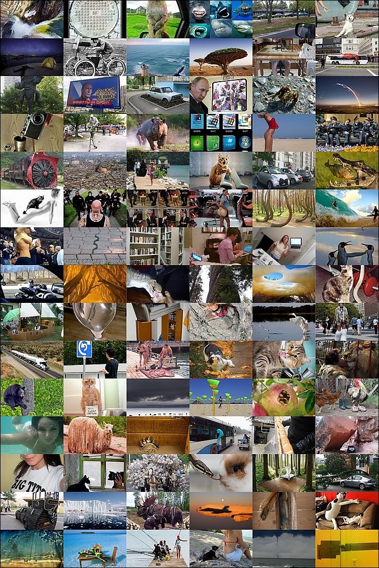 Подборка фотографий