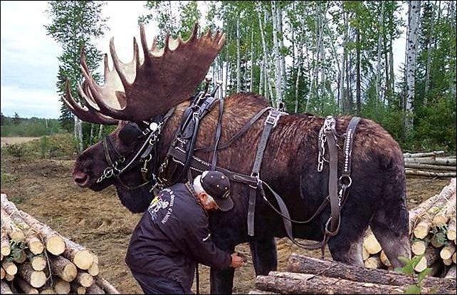 Подборка фотографий