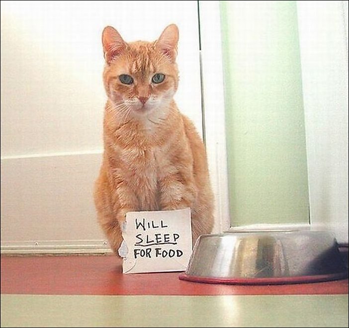 Подборка фотографий