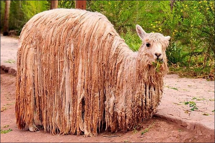 Подборка фотографий