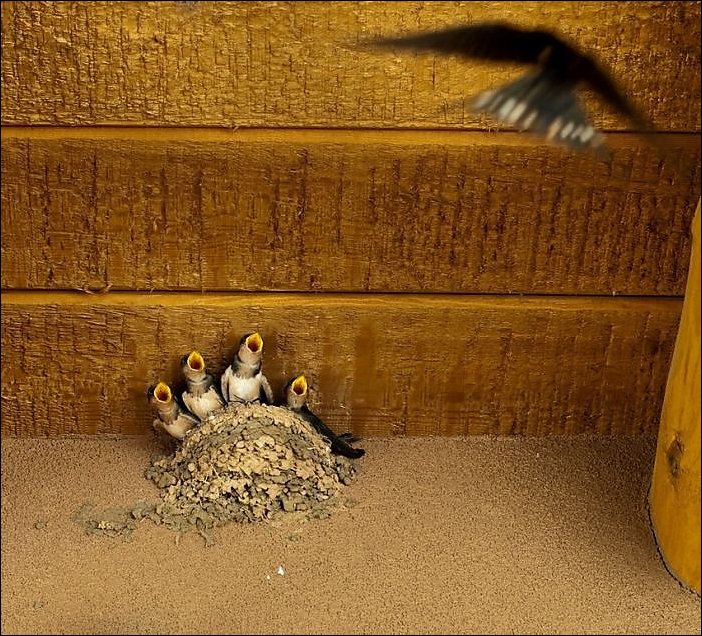 Подборка фотографий