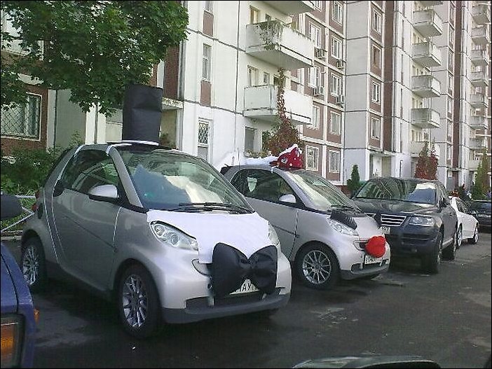 Подборка фотографий