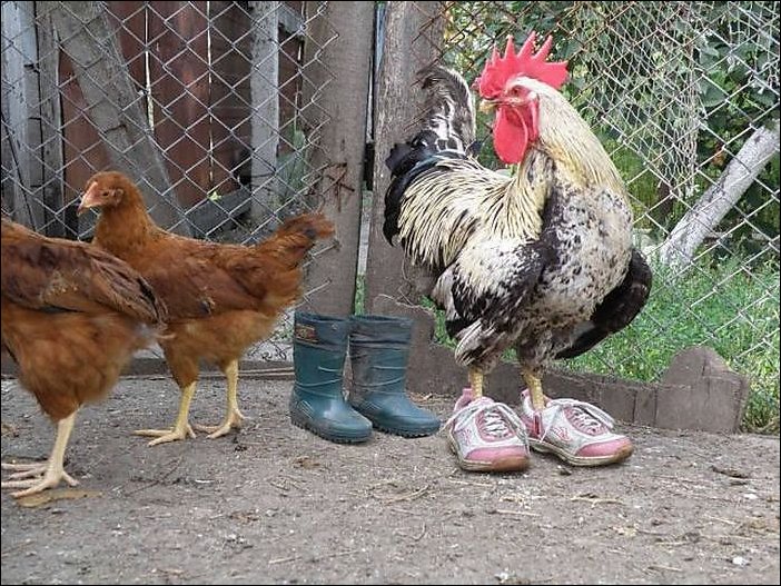 Подборка фотографий