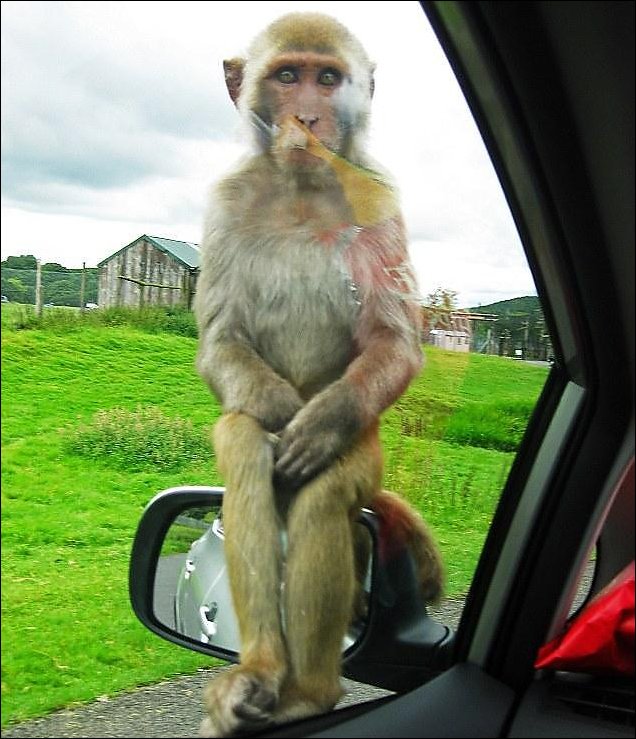 Подборка фотографий