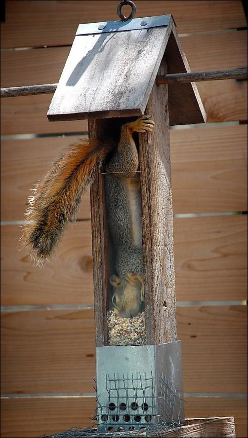 Подборка фотографий