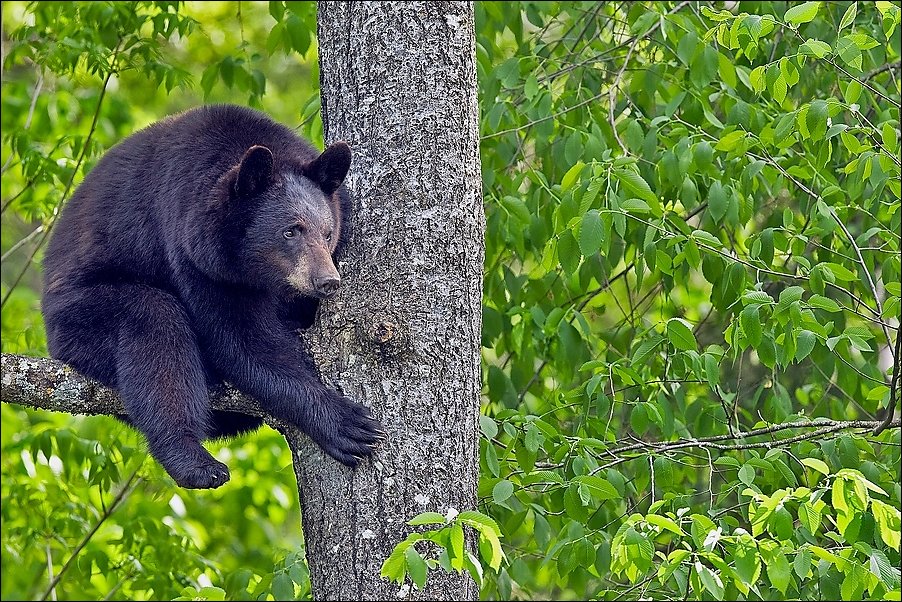 Подборка фотографий