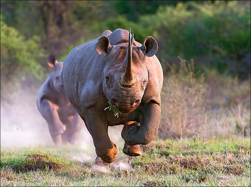 Подборка фотографий