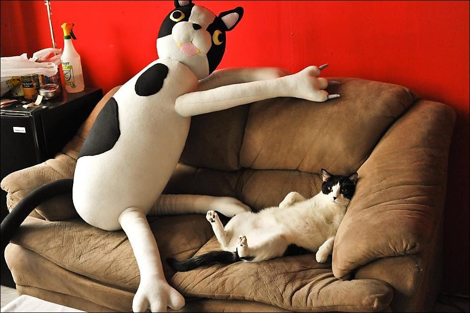 Подборка фотографий