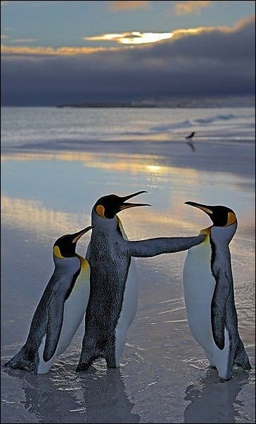 Подборка фотографий