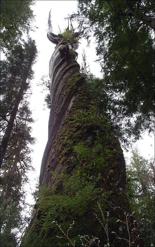 Подборка фотографий