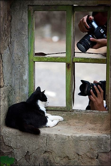 Подборка фотографий