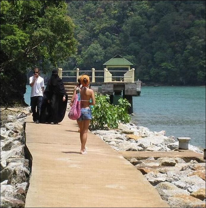 Подборка фотографий