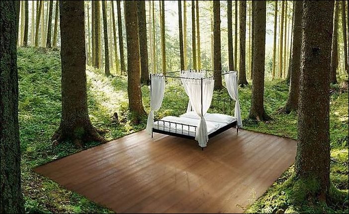 Подборка фотографий