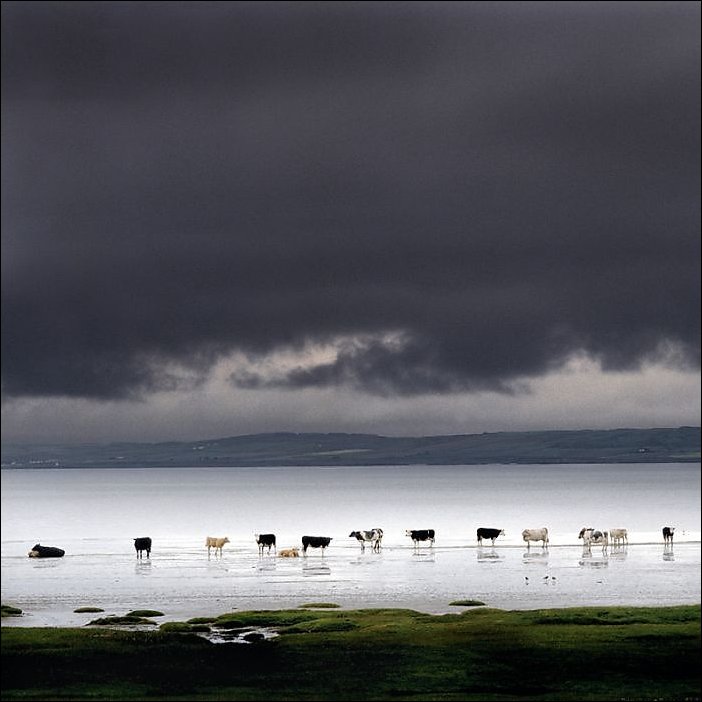 Подборка фотографий