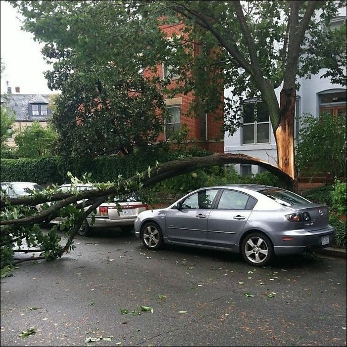 Подборка фотографий