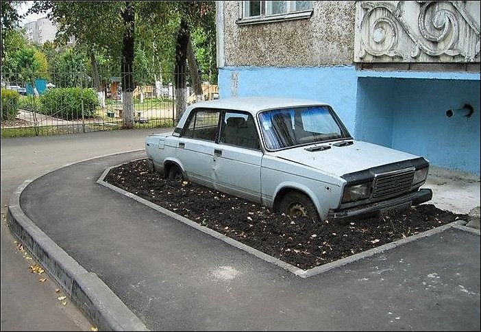 Подборка фотографий