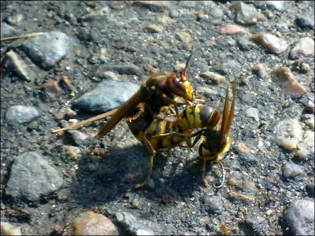 Подборка фотографий
