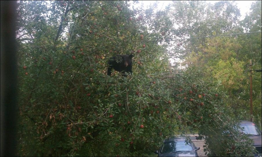 Подборка фотографий