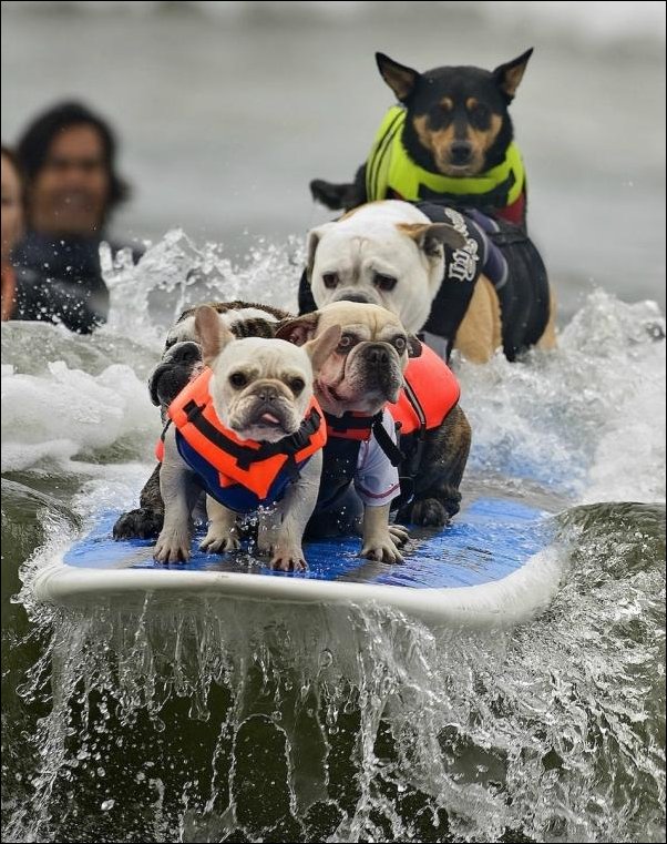Подборка фотографий