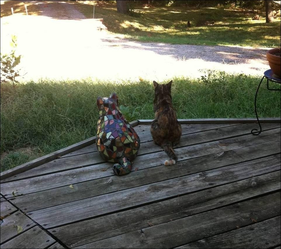 Подборка фотографий