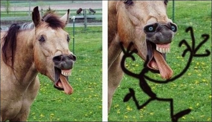 Подборка фотографий