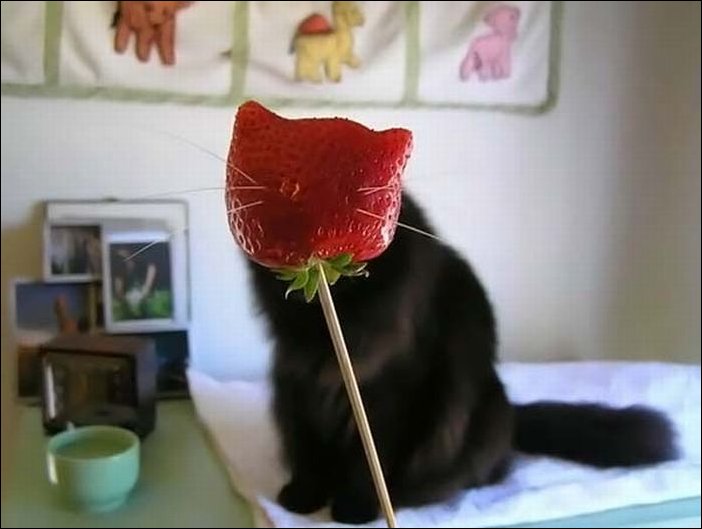 Подборка фотографий